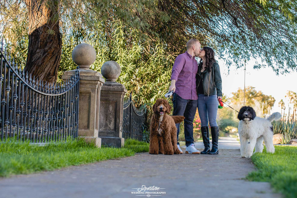 Engagement Photography with Dogs