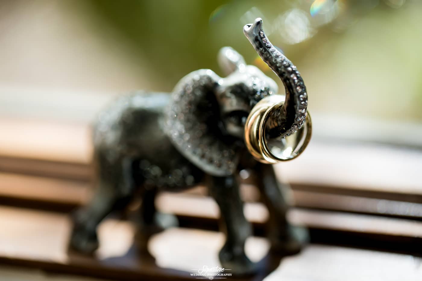 Close up shot of rings on elephant statue