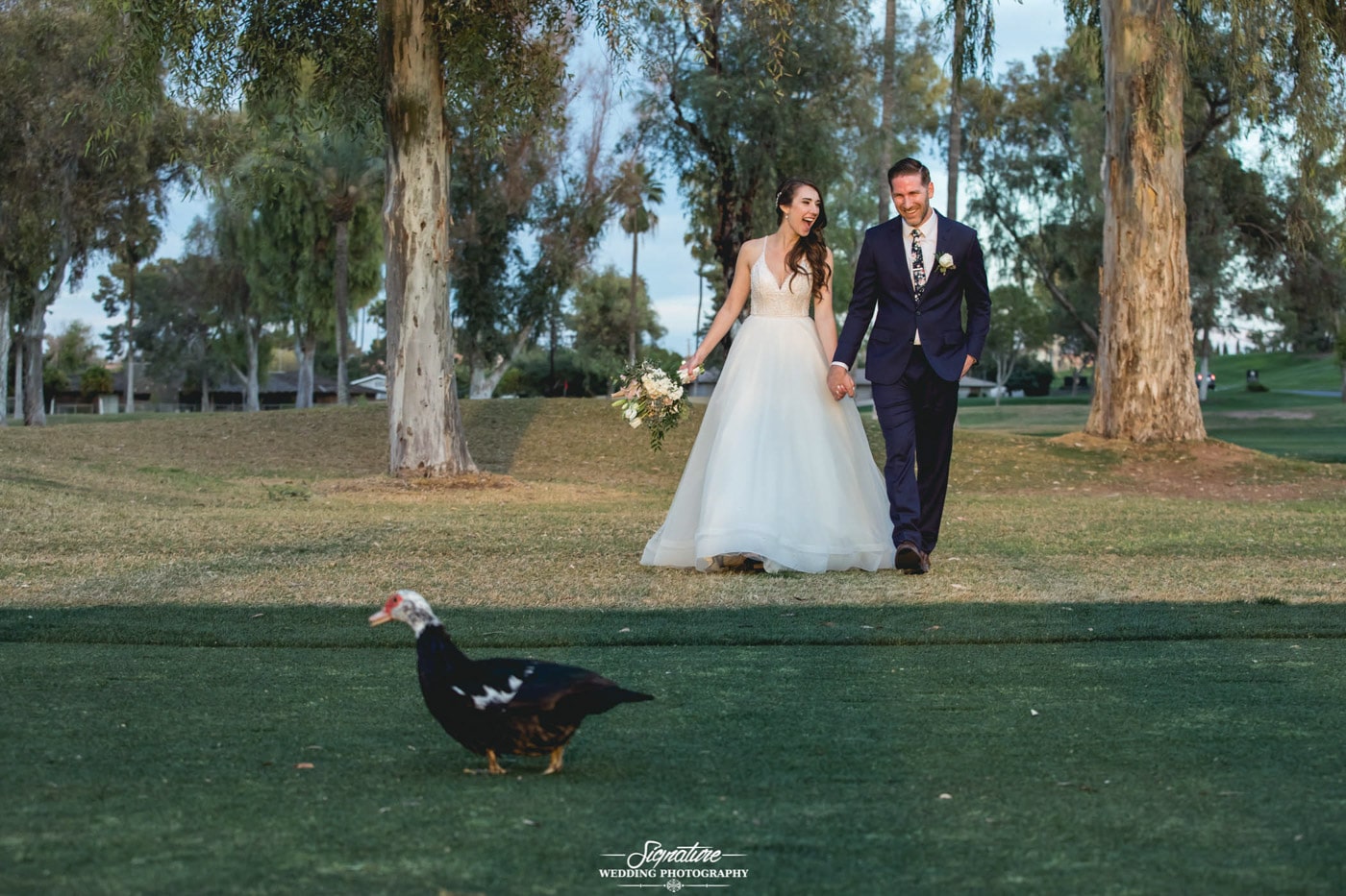 Bride and groom walking with duck