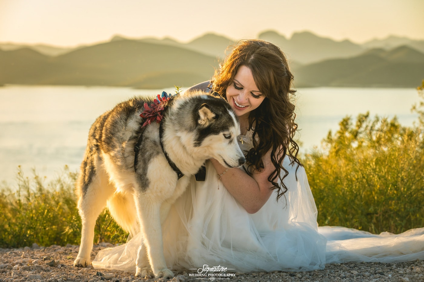 Bride kneeling down with dog outside