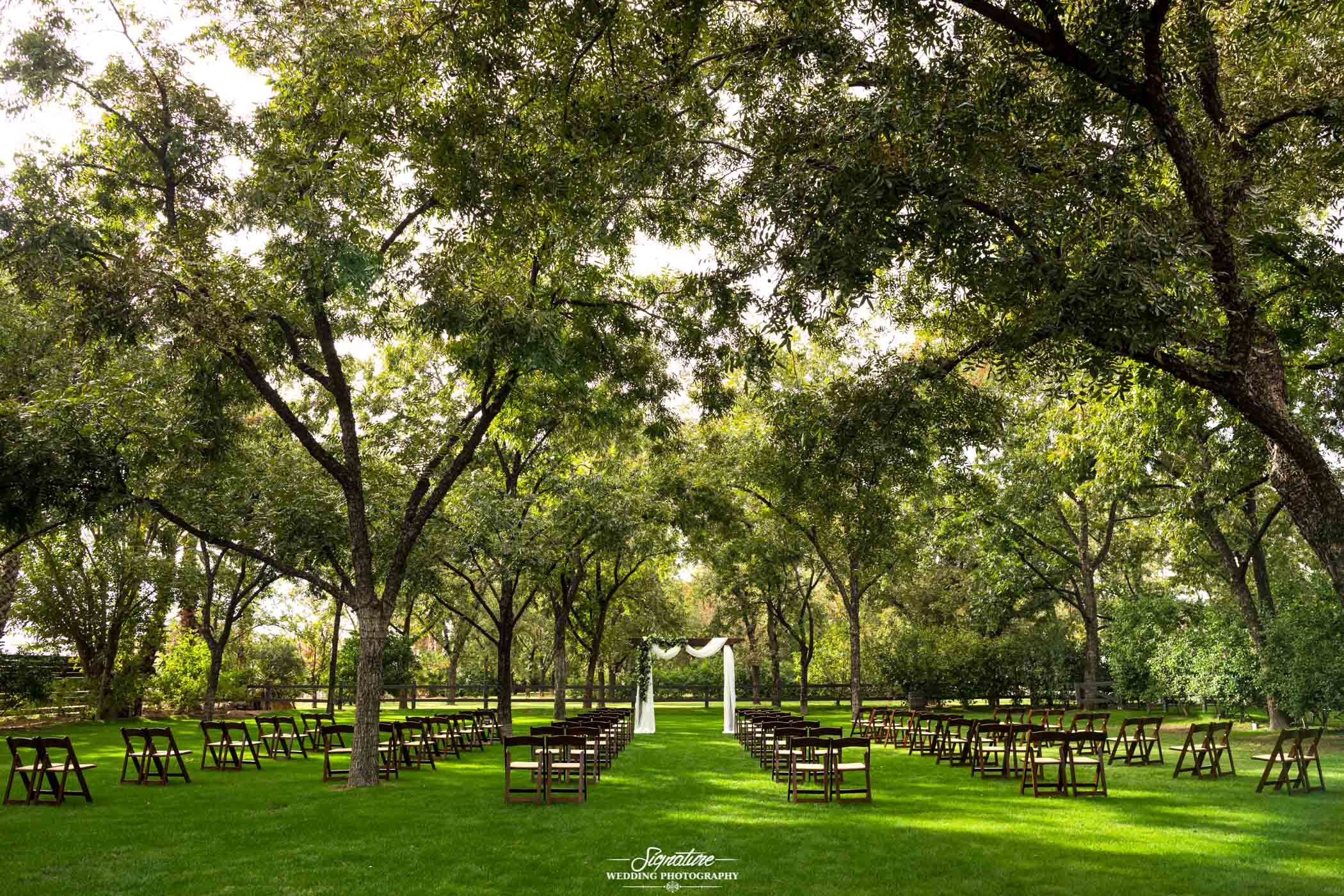 Wedding ceremony chairs and archway under tree canopy