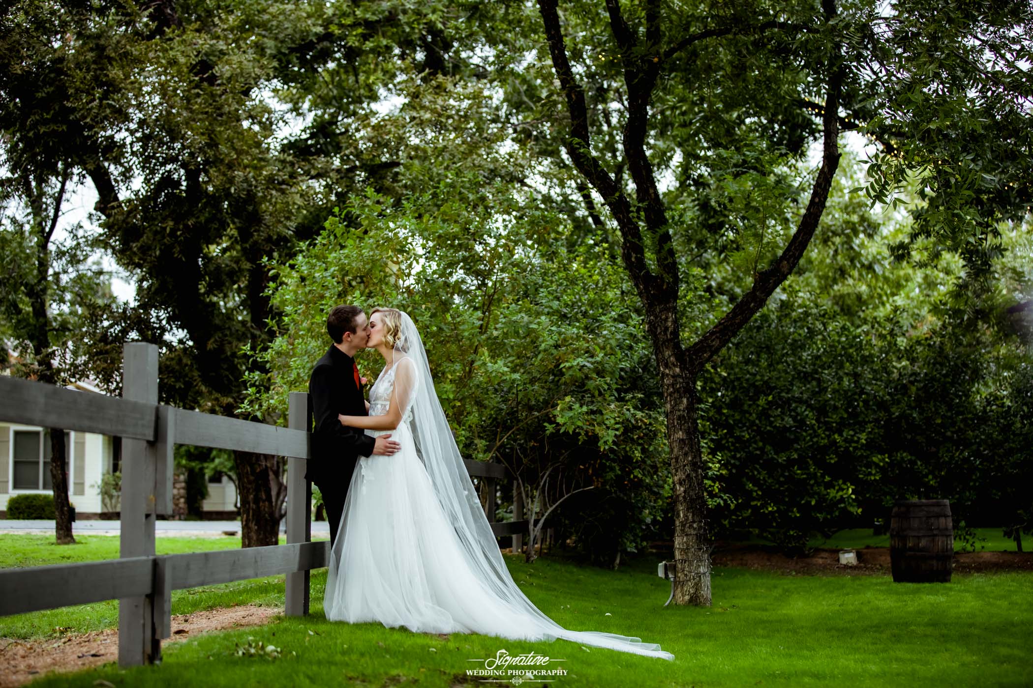 Bride and groom kissing under trees