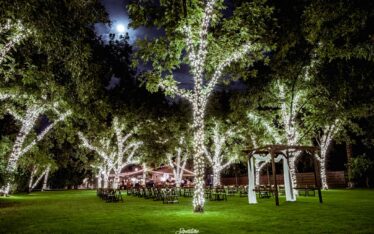 Wedding ceremony chairs under trees with lights