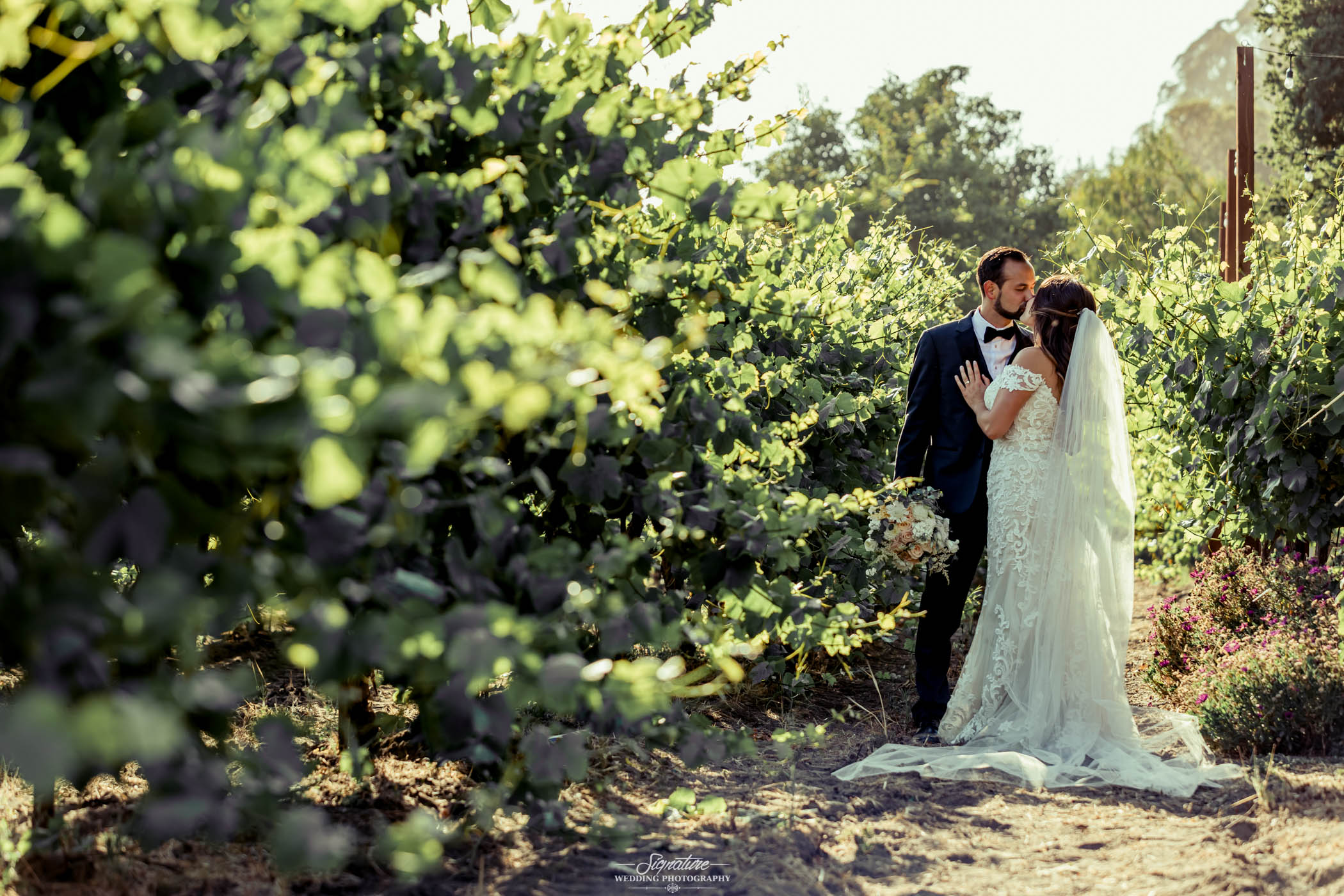 Bride and groom kissing in field of trees