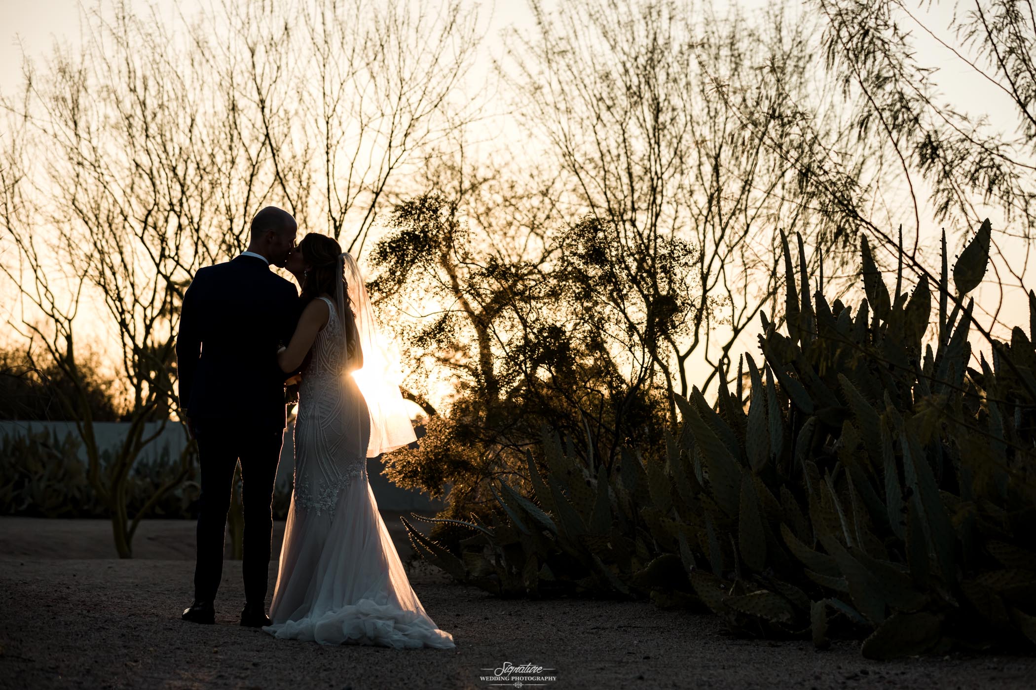 Bride and groom kissing facing away from camera in desert silhouette