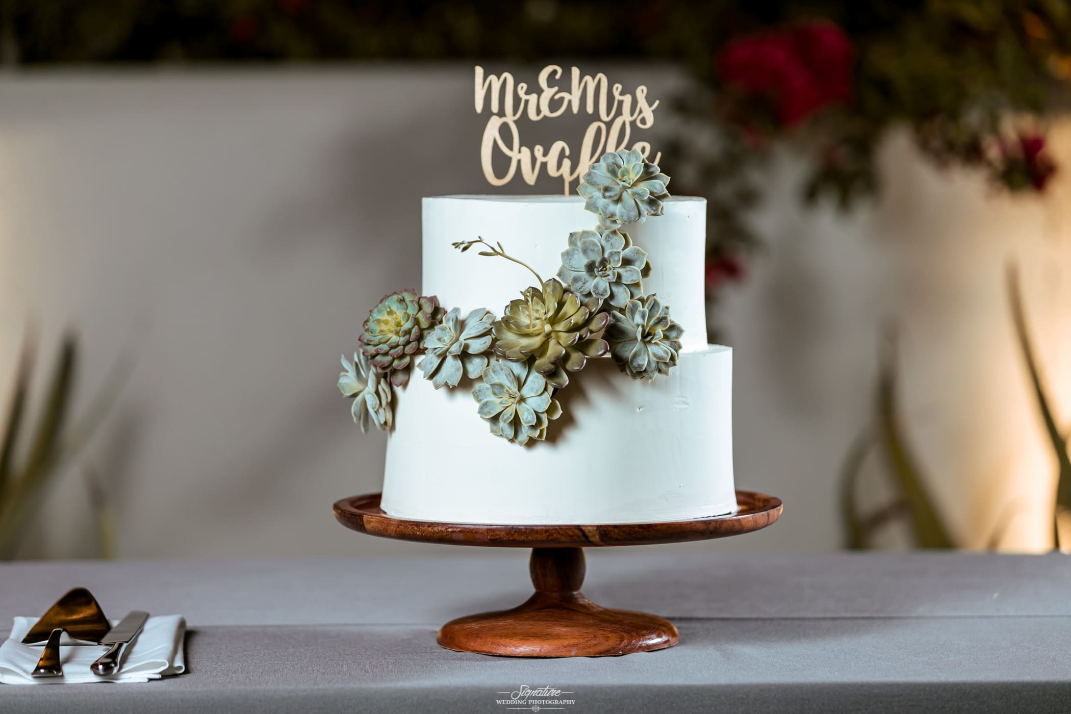 Wedding cake with succulents close up