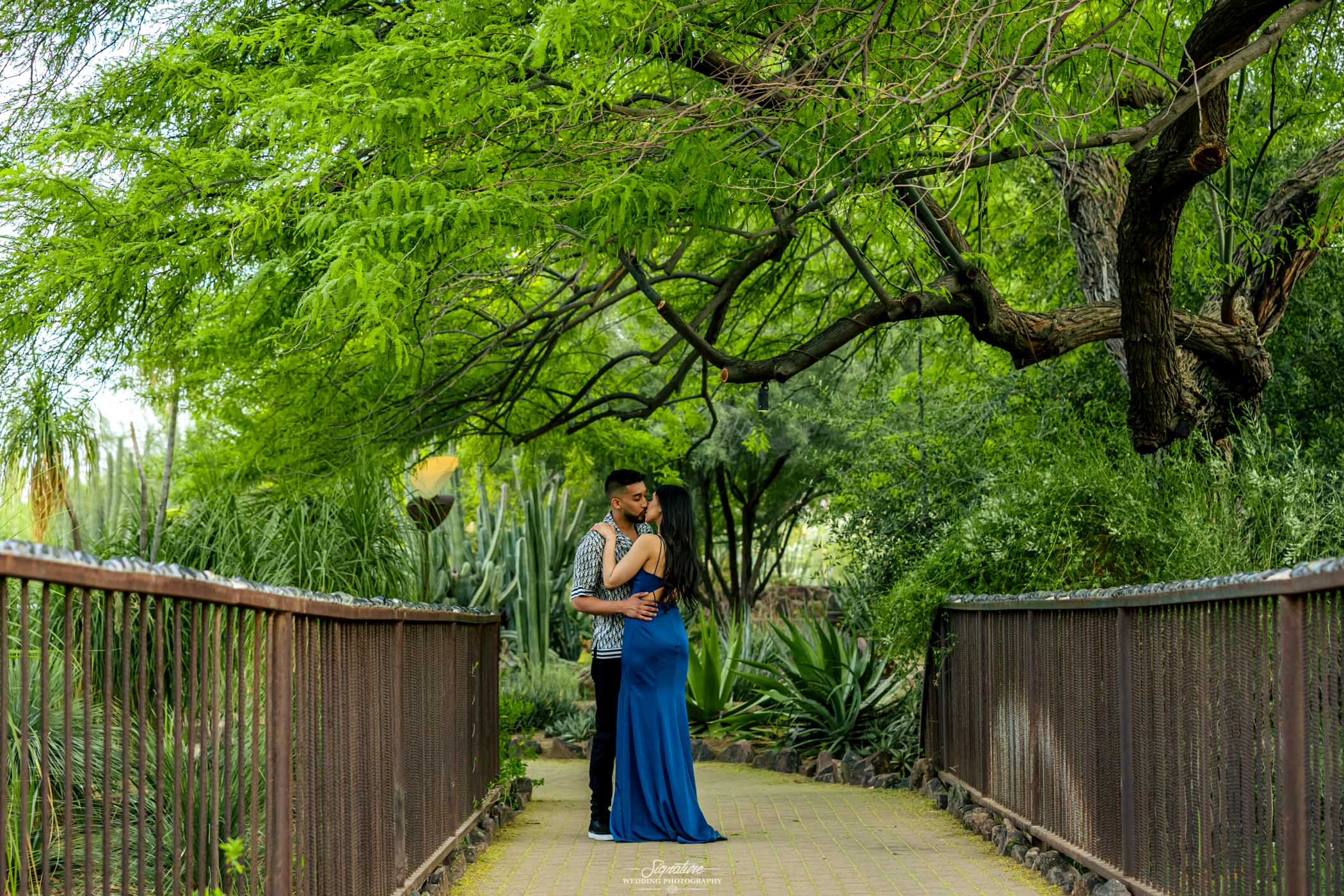 Couple kissing under tree on bridge