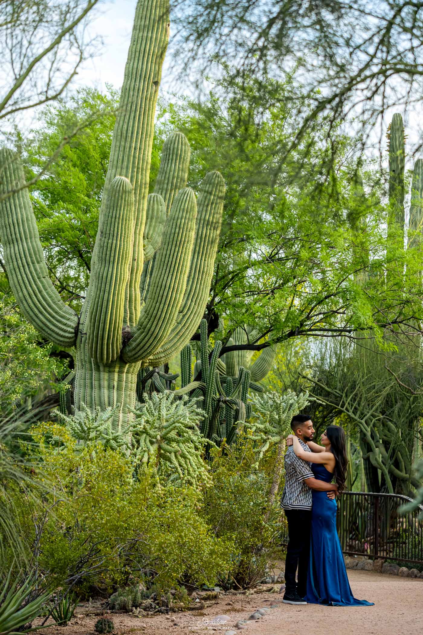Couple hugging looking at each other next to giant cactus