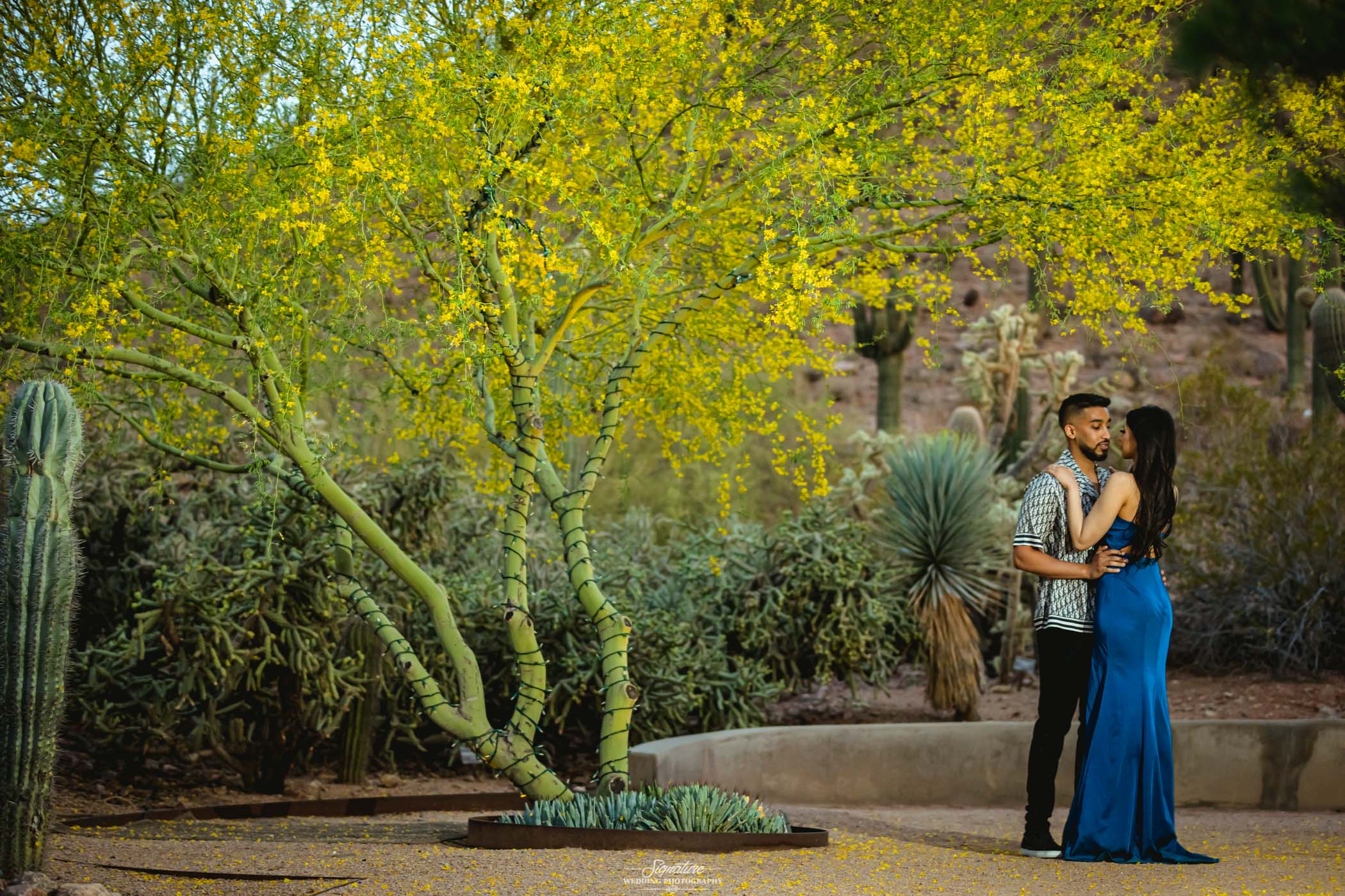 Couple embracing each other under tree in desert