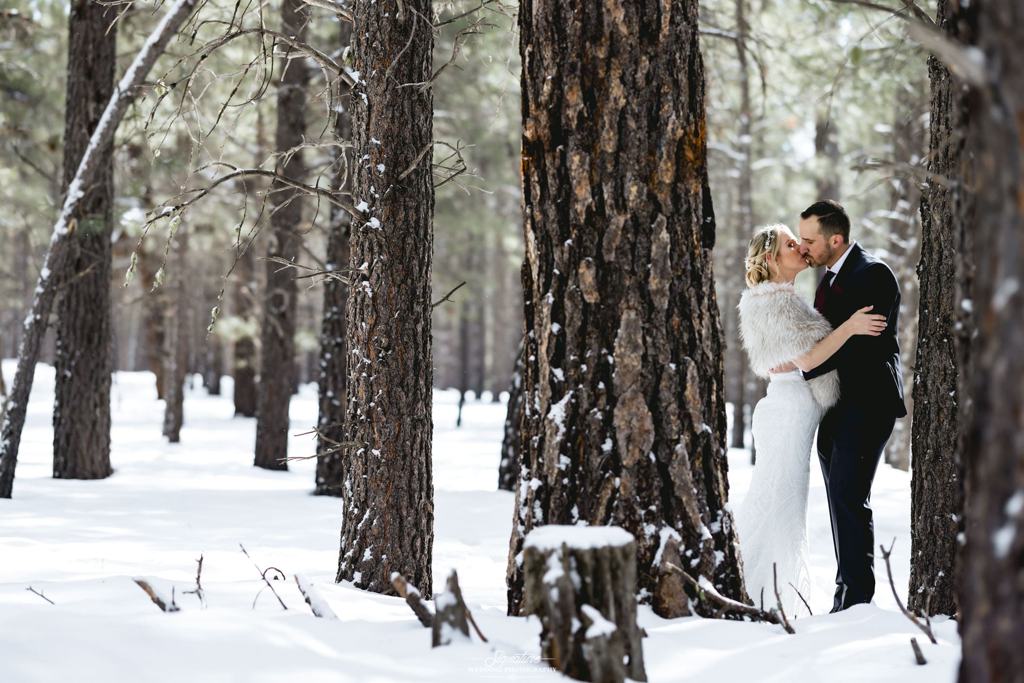 Bride and groom kissing between trees in snow