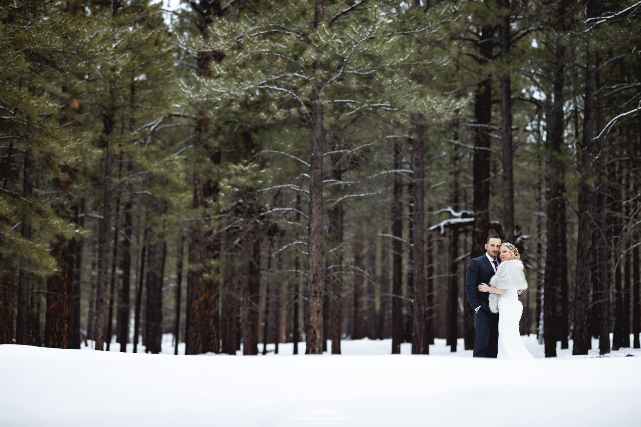 Bride and groom posed in front of winter forest