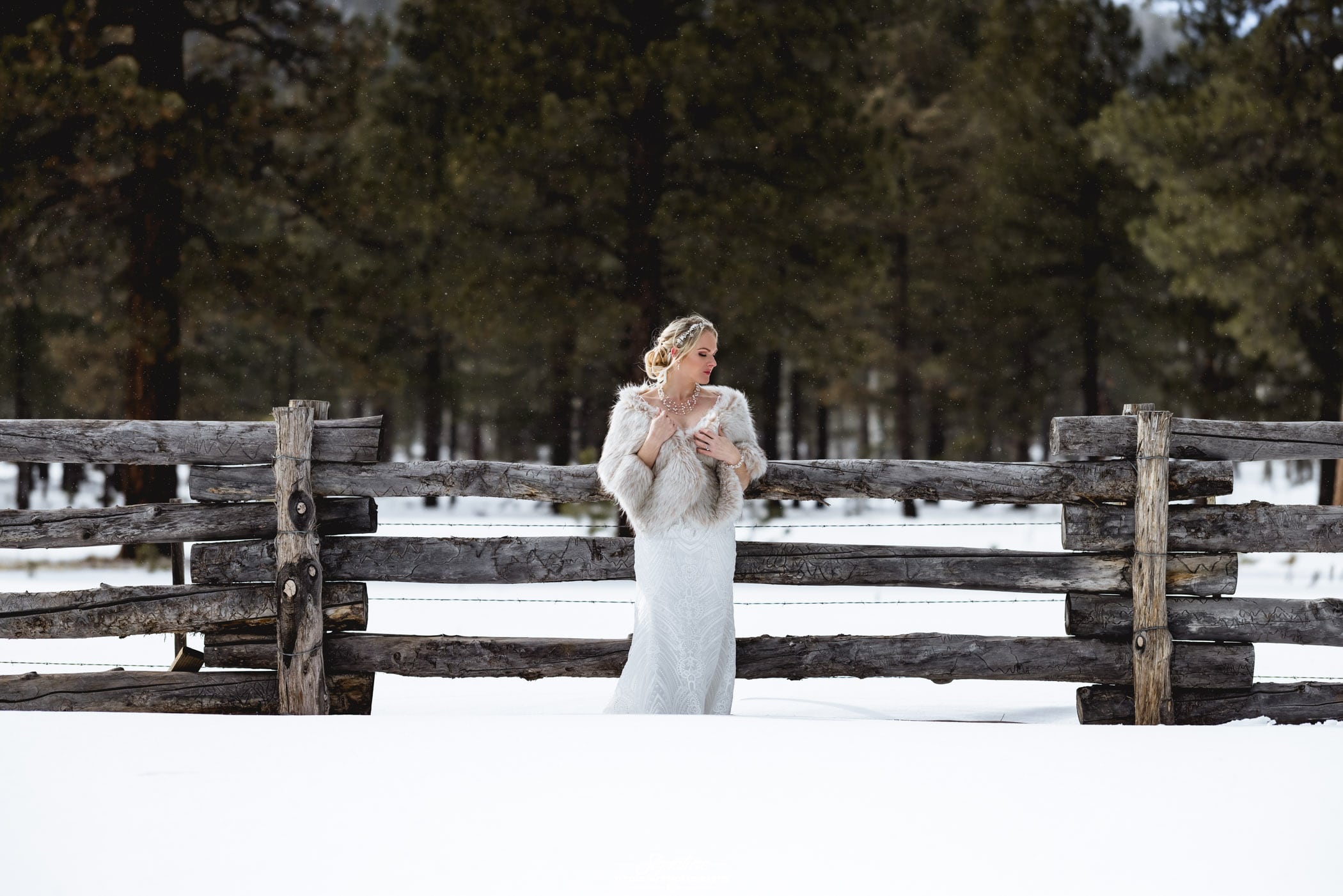 Bride in front of wooden fence in snow