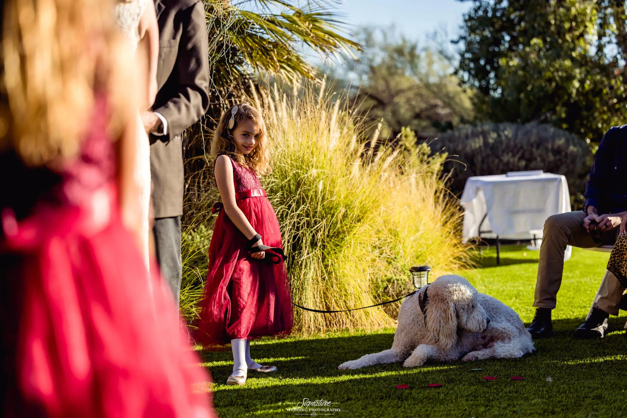 Flower girl holding leash for fluffy dog