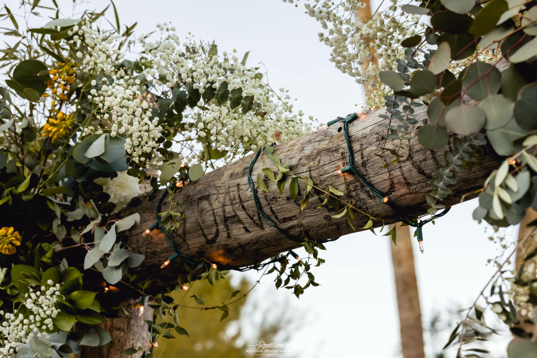 Names carved on tree with flowers and lights