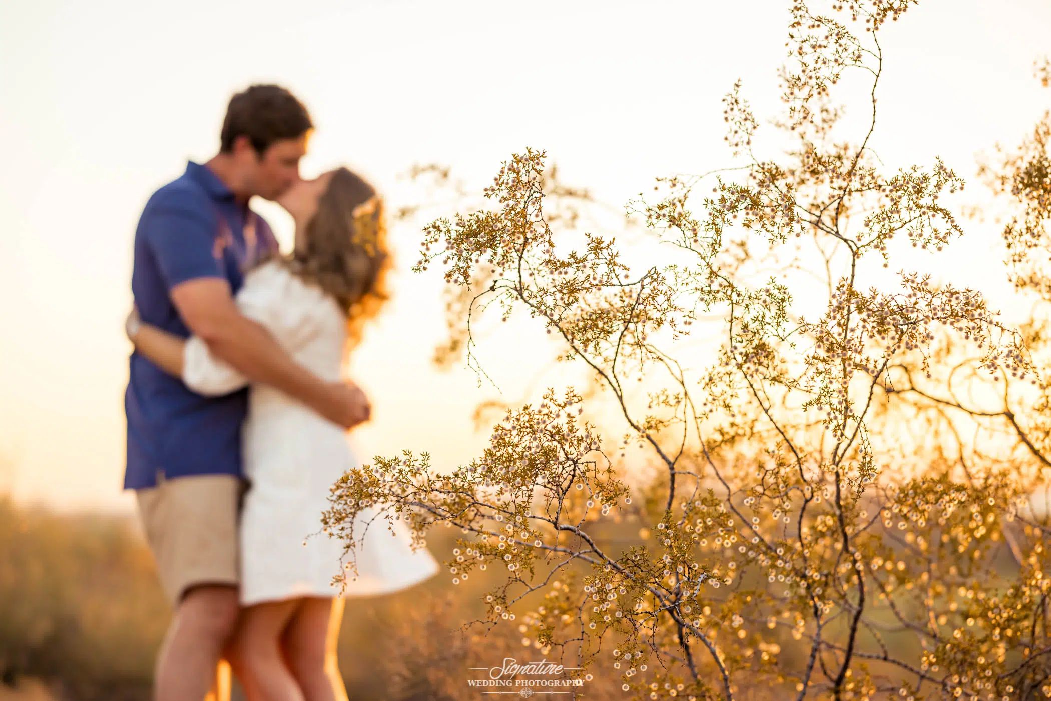 Couple kissing in desert at sunset