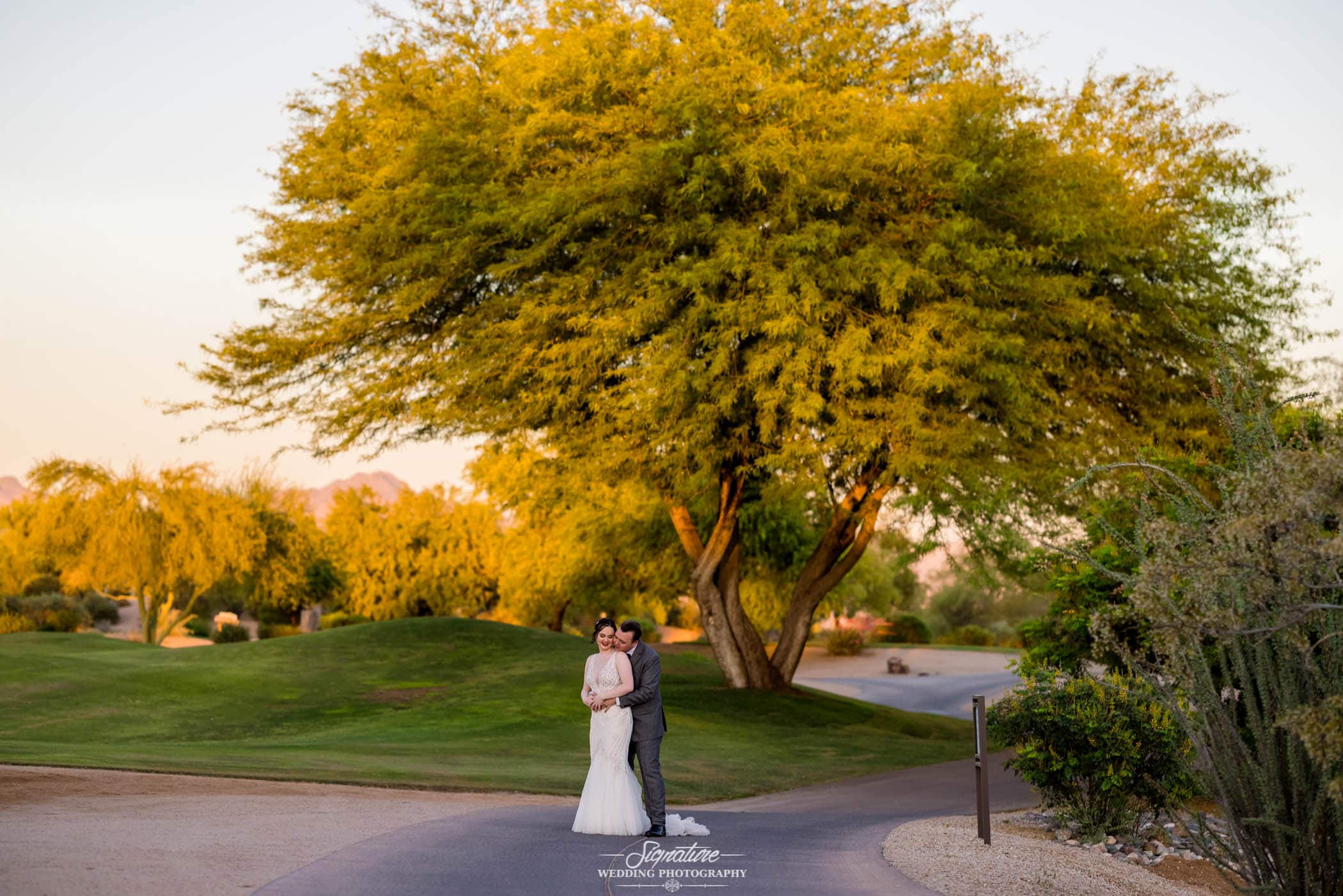 Bride and groom in front of big tree