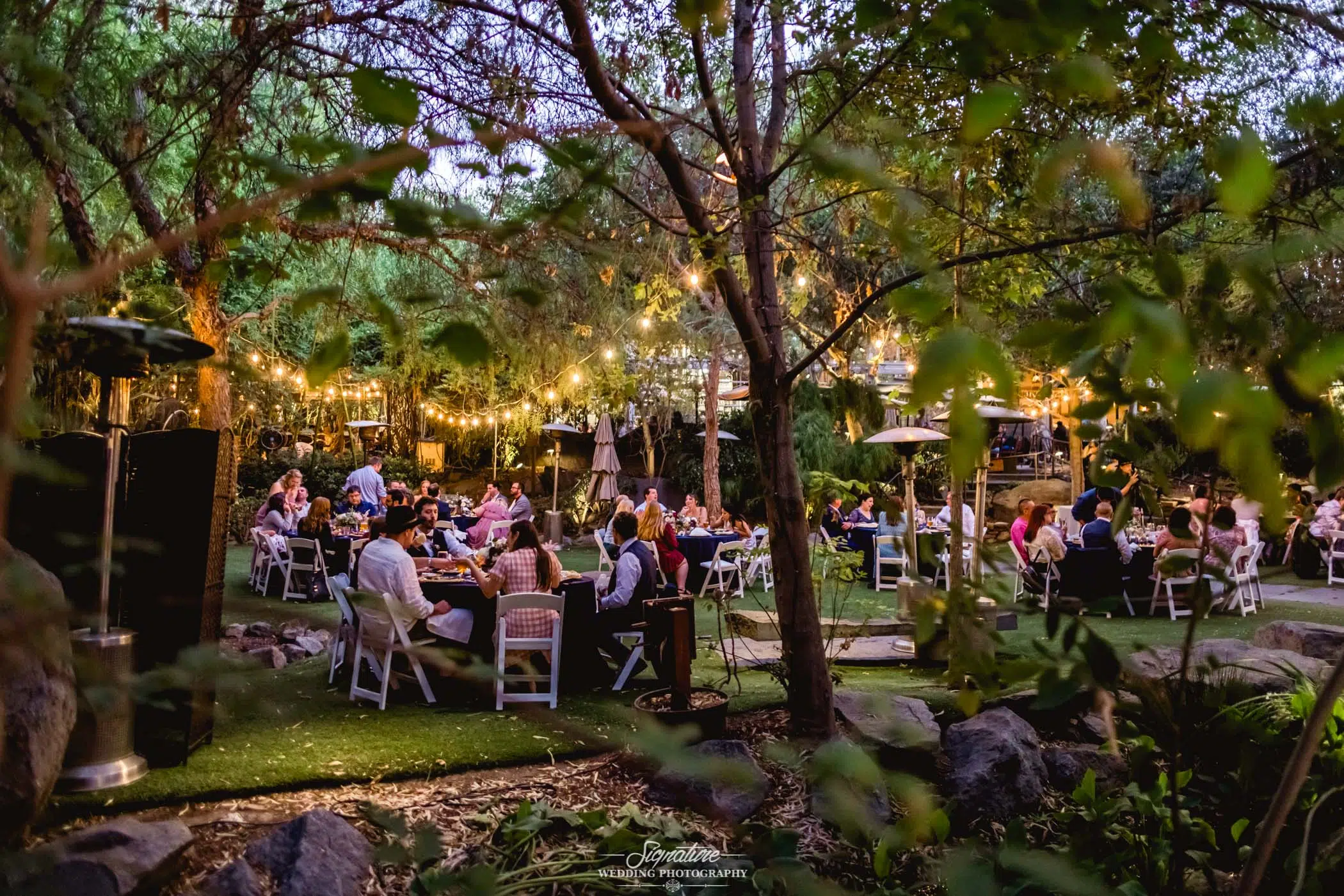 Wedding reception in trees