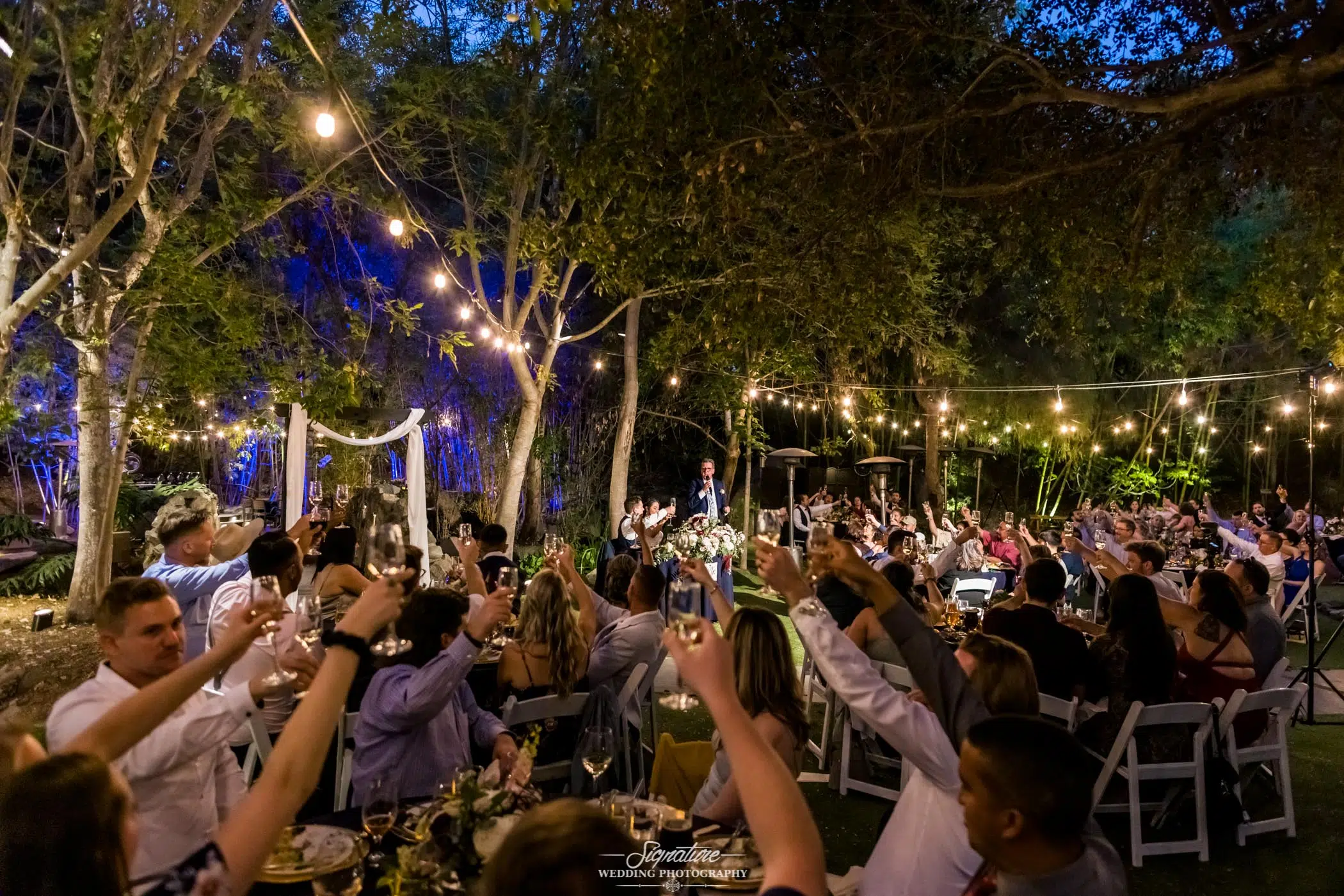 Wedding guests raising a glass in cheers