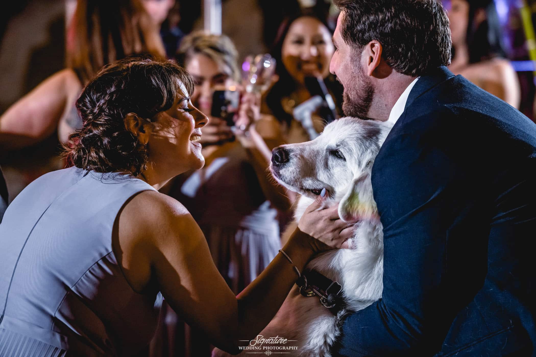 Wedding guest petting dog