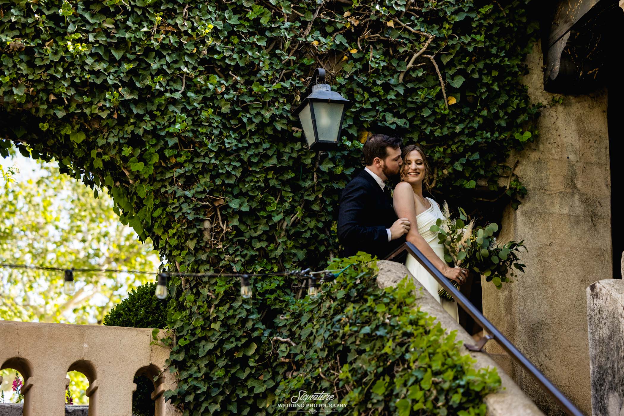 Groom kissing bride on cheek in front of vines