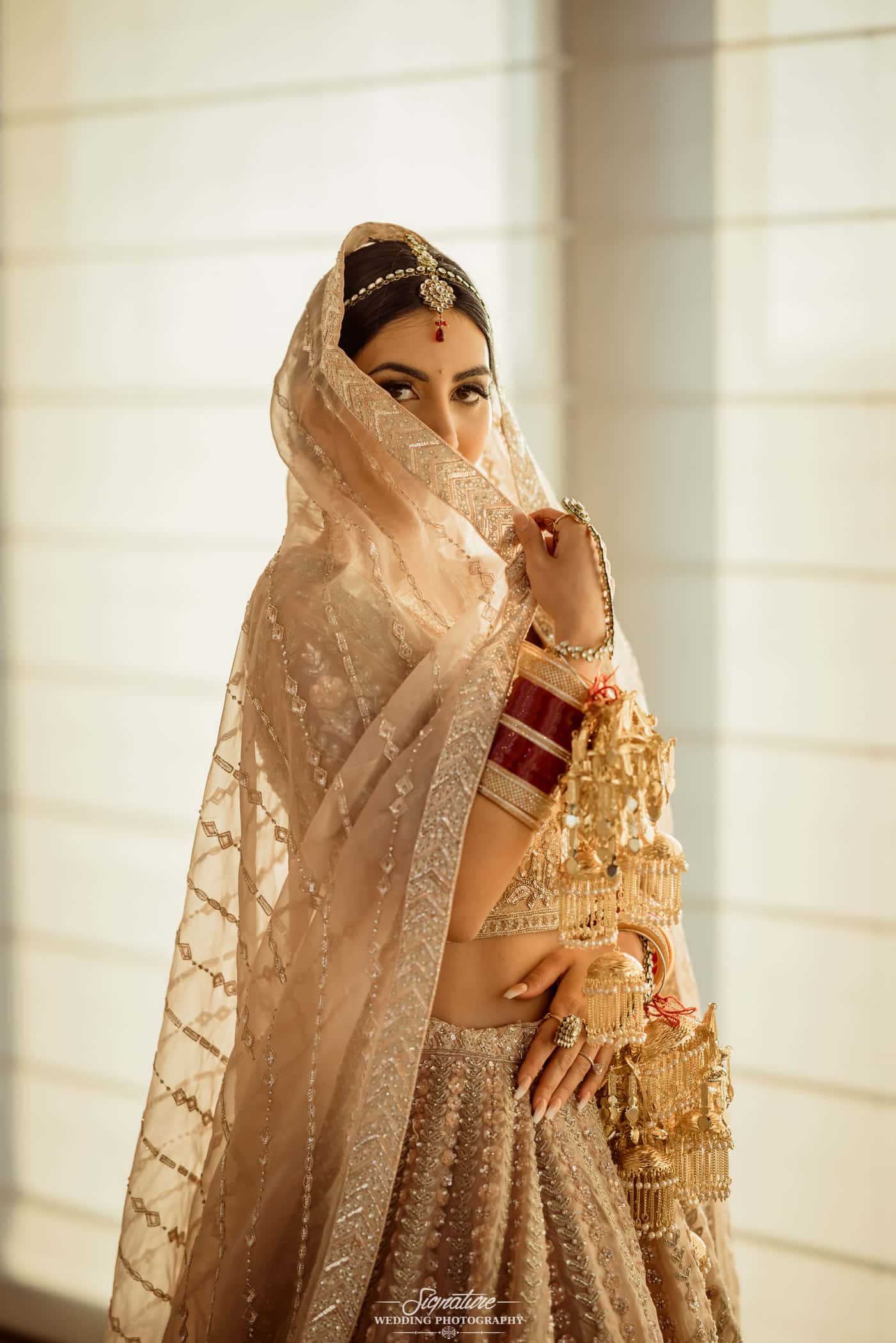 Indian bride looking at camera over veil