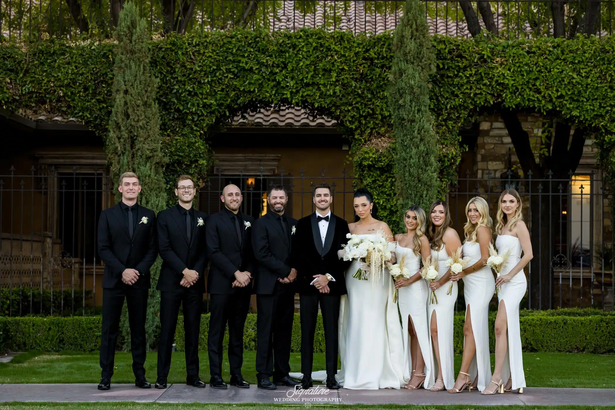 Bride and groom with wedding party