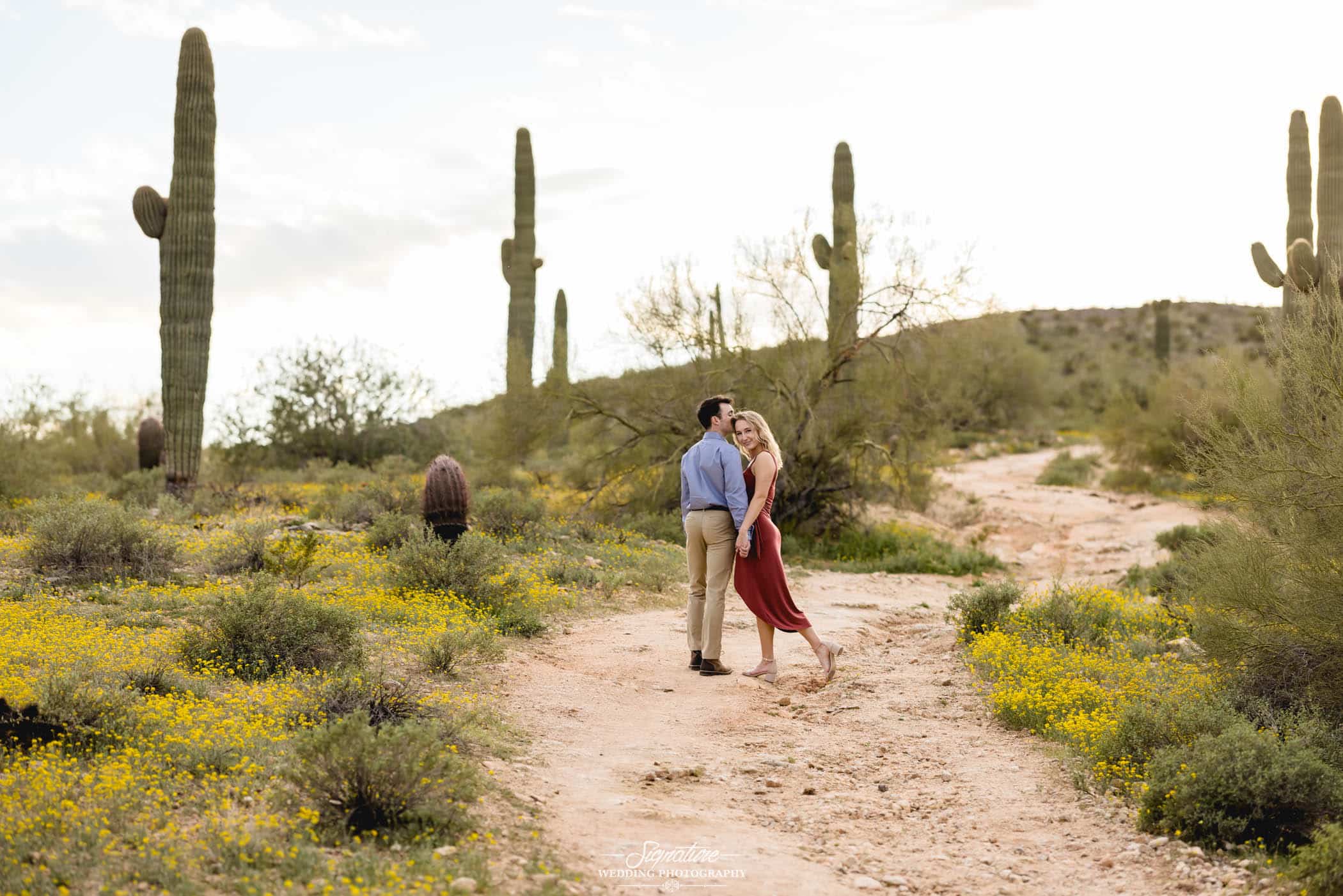 Couple holding hands posed on desert path