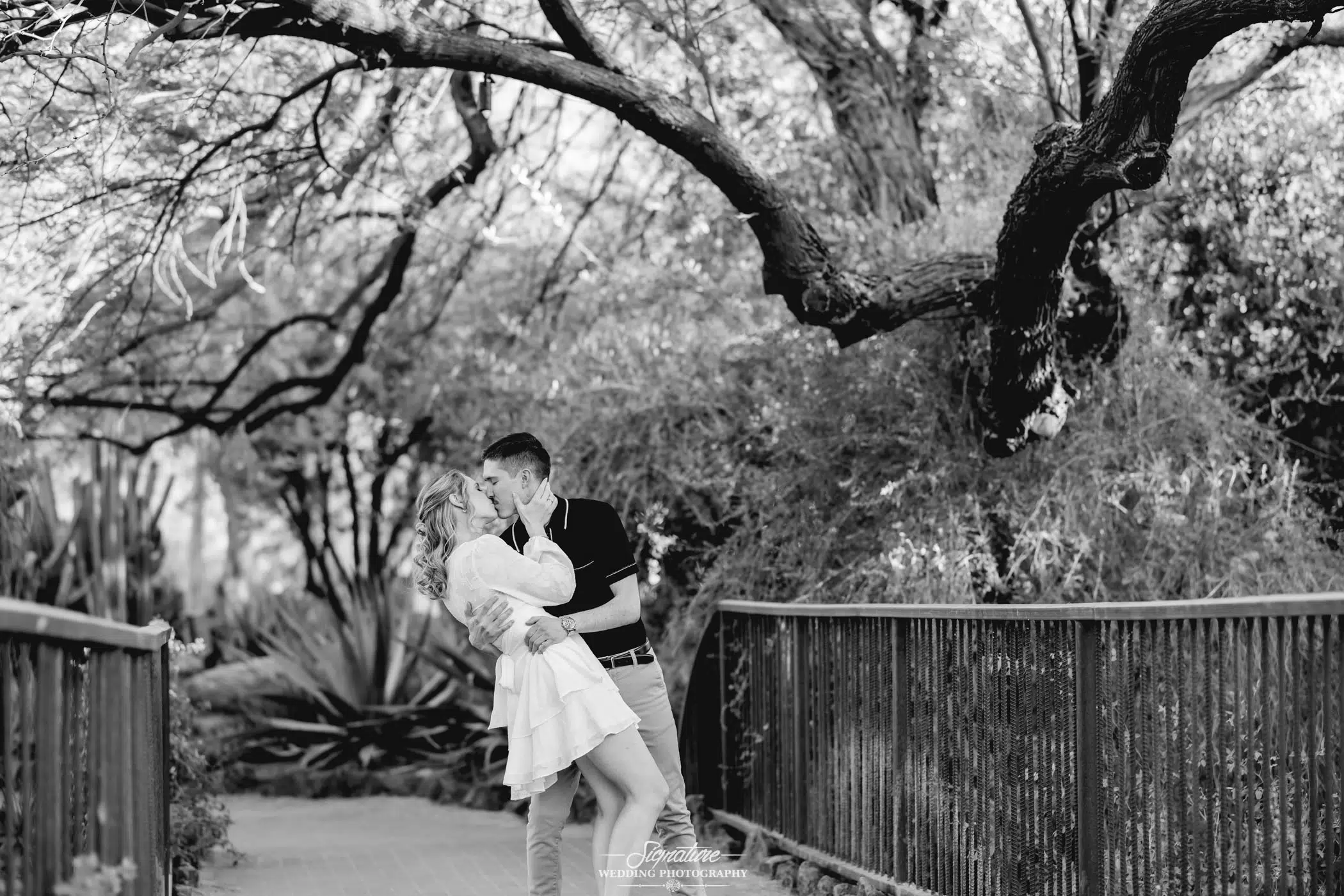 Image by Signature Wedding Photography A timeless black and white wedding photograph captures a couple kissing under a large tree with twisting branches. The man gently dips the woman, who wears a light dress, while he dons dark attire. Behind them, a quaint fence lines the path, enhancing this romantic moment.