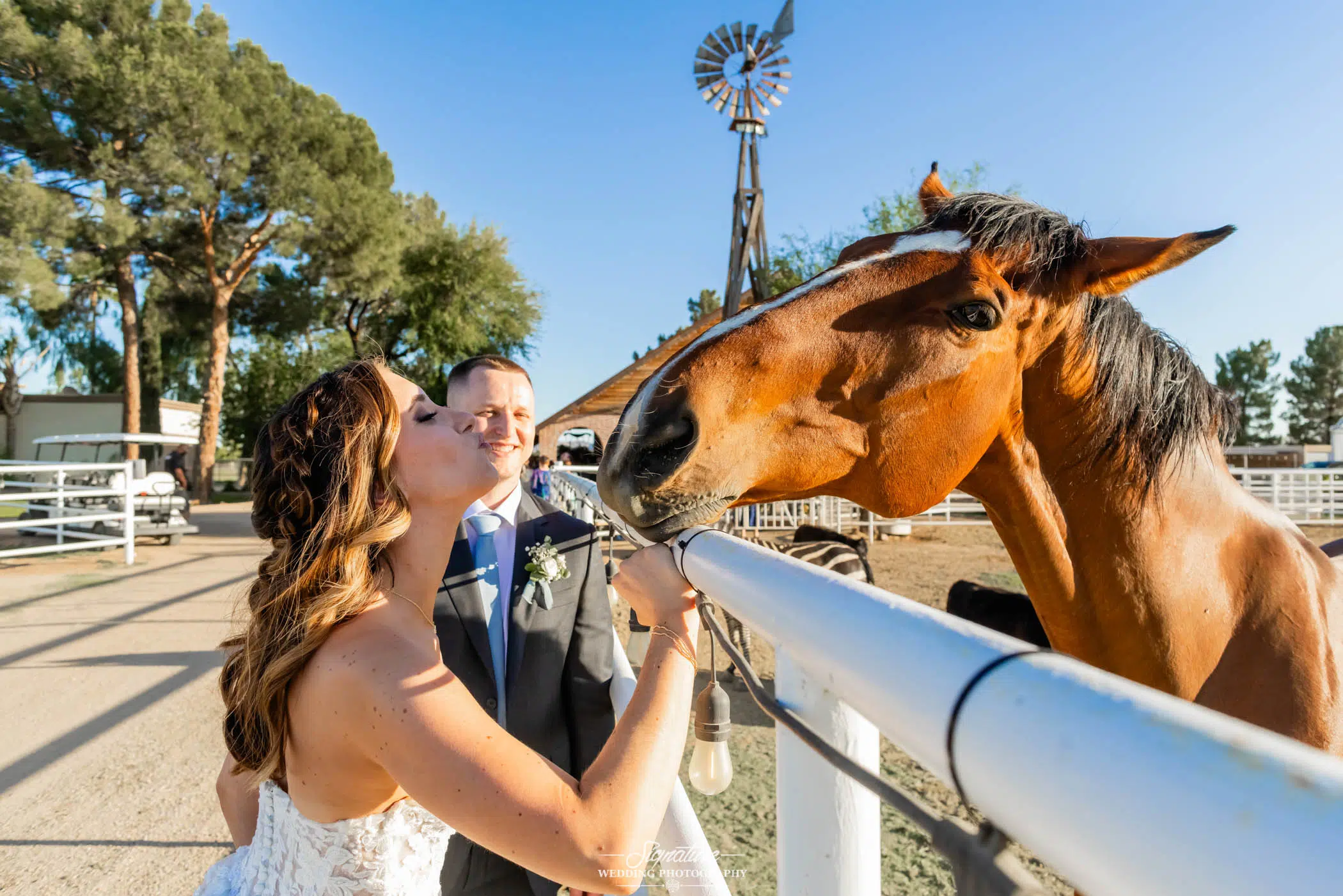 Image by Signature Wedding Photography A bride in a white dress reaches over a fence to kiss a brown horse, while a groom in a suit smiles beside her. They are outdoors on a sunny day, with a windmill and trees in the background.