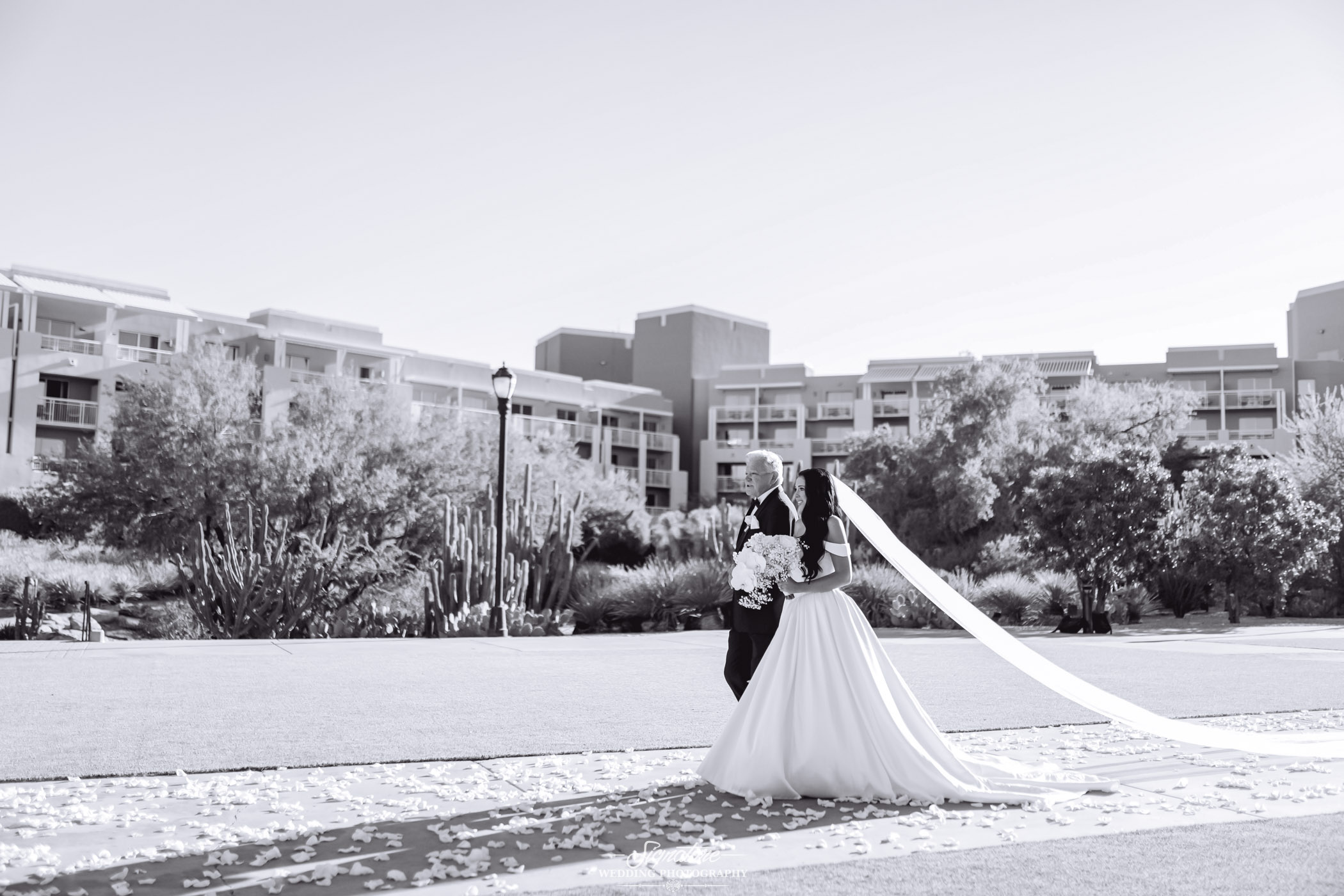 Image by Signature Wedding Photography A bride in a long gown and veil walks outside with an older man, possibly her father, on a petal-strewn path. Modern buildings and desert landscaping are visible in the background. The photo is in black and white.